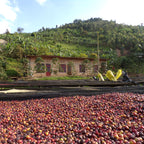 Kinini