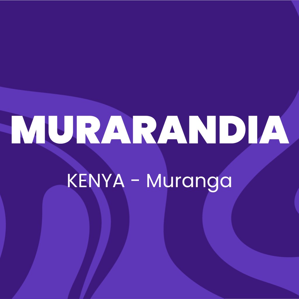 Murarandia