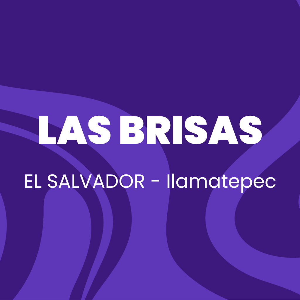 Las Brisas