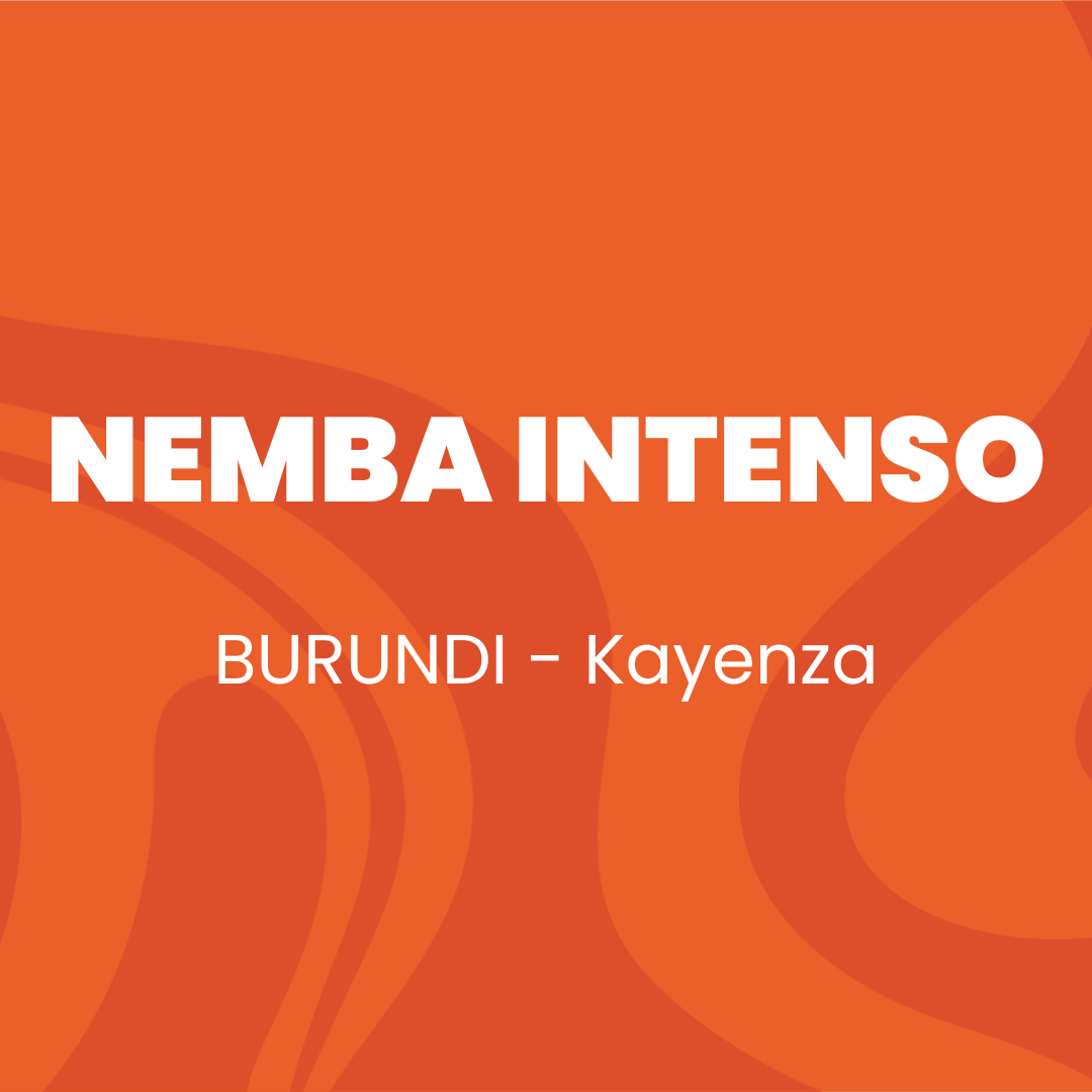 Nemba Intenso